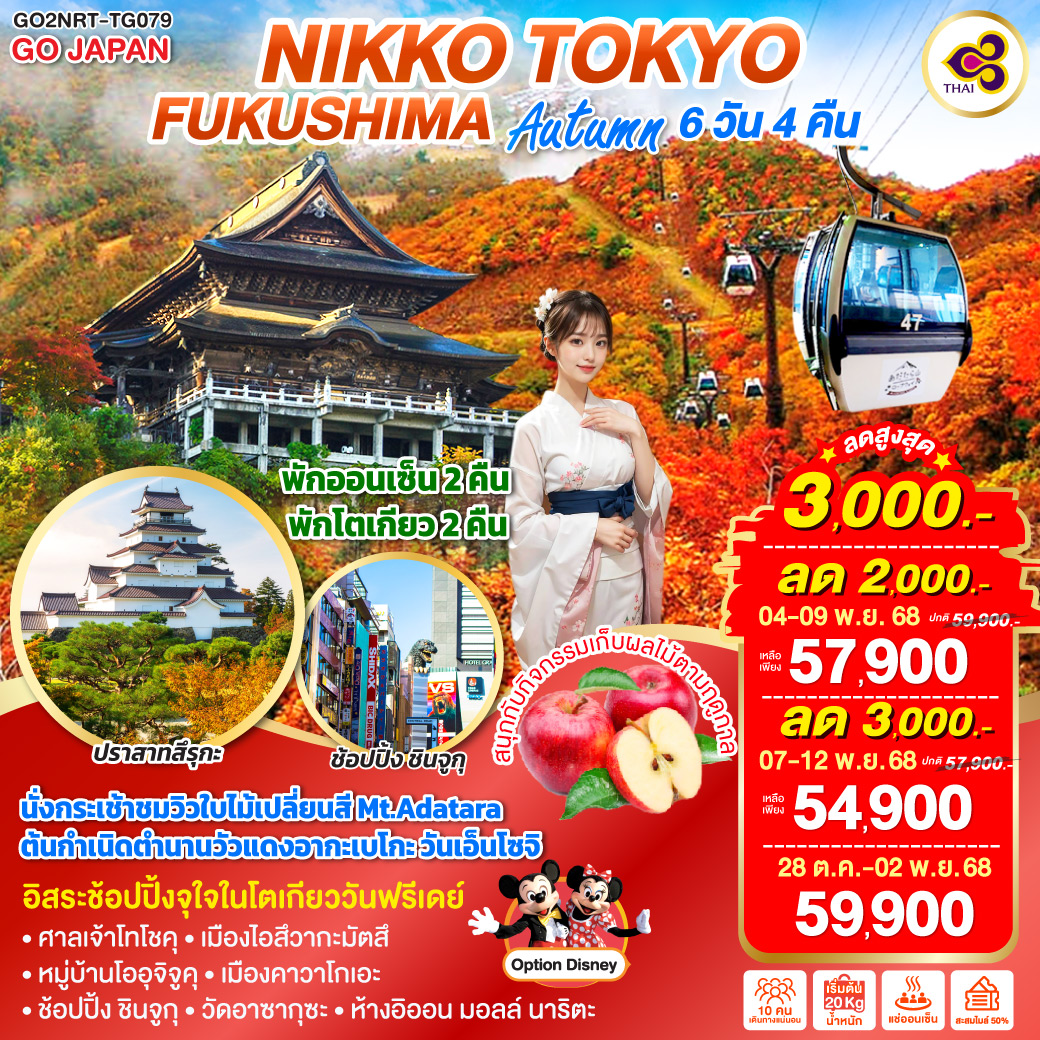 ทัวร์ญี่ปุ่น NIKKO TOKYO FUKUSHIMA AUTUMN 6วัน 4คืน (TG)