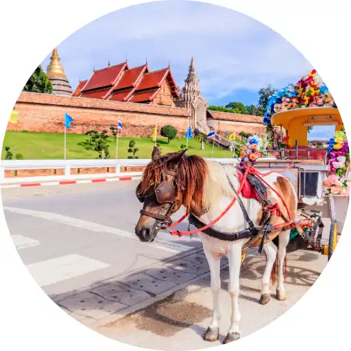 ทัวร์ลำปาง