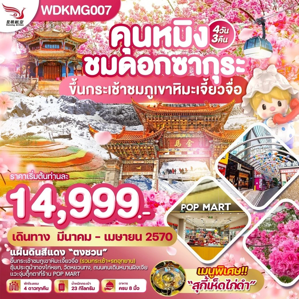 ทัวร์จีน คุนหมิง ชมดอกซากุระ ขึ้นกระเช้าชมภูเขาหิมะเจี้ยวจื่อ 4วัน 3คืน (KY)