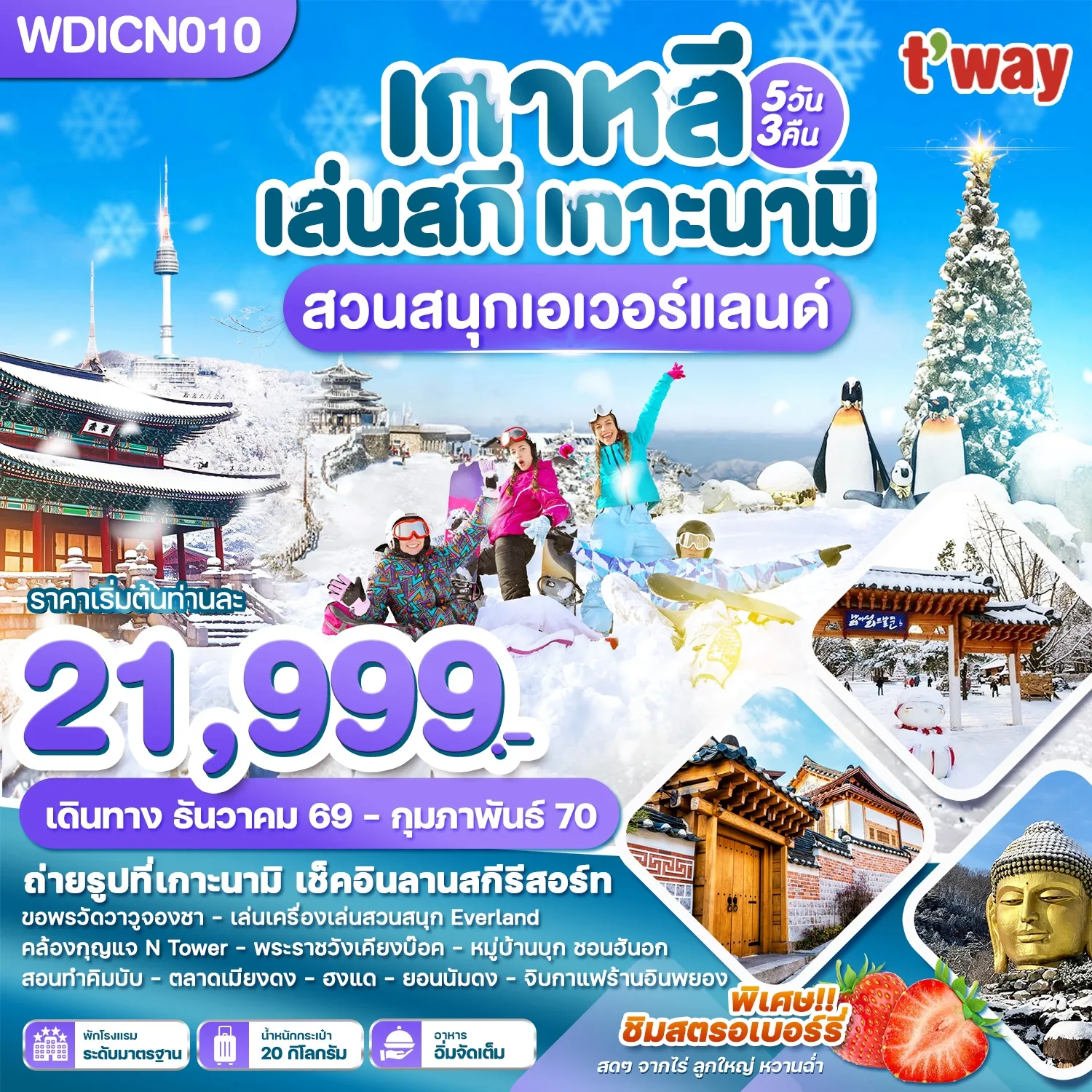ทัวร์เกาหลี เล่นสกี เกาะนามิ เที่ยวปีใหม่!! สวนสนุกเอเวอร์แลนด์ 5วัน 3คืน (TW)